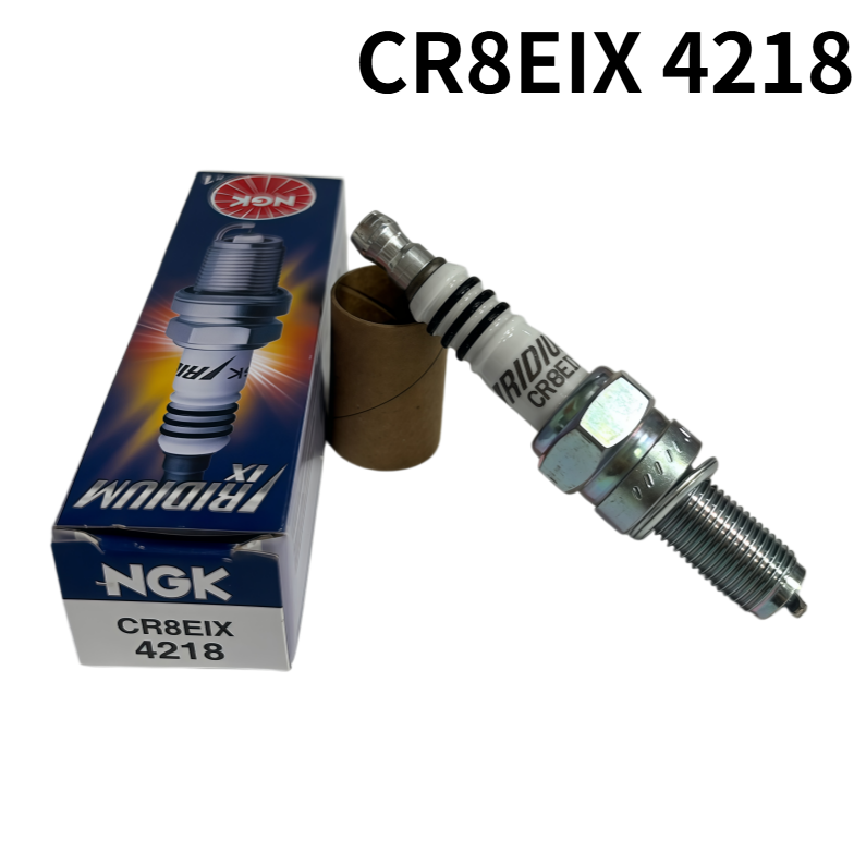 1 Pezzo NGK CR8EIX 4218 Candel - Ngk Spark Plug Iridium Ix recensione e prezzo